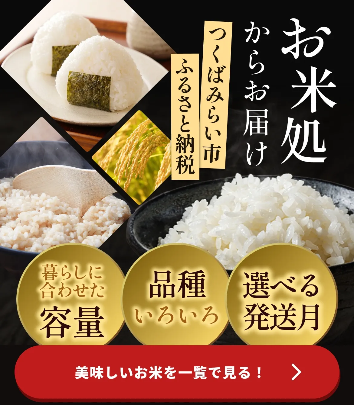 お米の返礼品を見る
