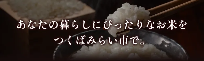 あなたに暮らしにぴったりなお米をつくばみらい市で。