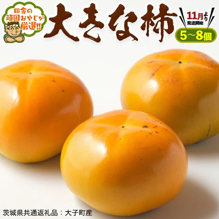 大きな柿5～8個【11月より発送開始】田舎の頑固おやじが厳選！（茨城県共通返礼品 [柿]：大子町産）