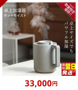＼ 年末期間限定価格！／ ＼12時までのご寄附で最短翌日お届け!／LAVINO ホットモイスト
