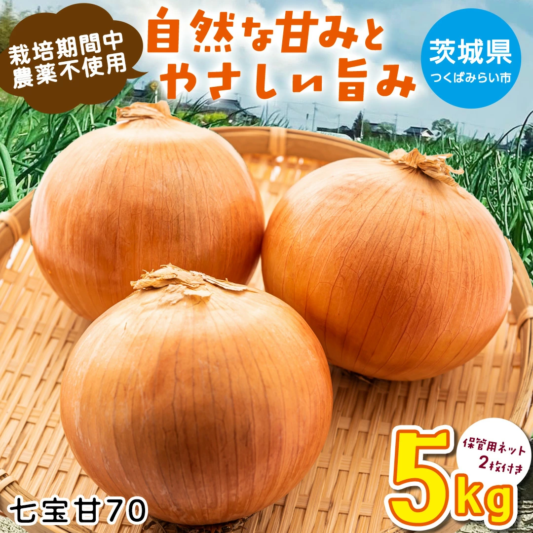 【先行予約】つくばみらい市産たまねぎ 5kg （七宝甘70）保管に便利な 貯蔵 ネット付