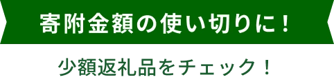 寄附金額の使い切りに！少額返礼品をチェック！