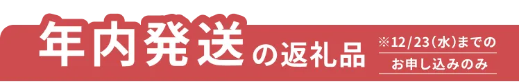 年内発送の返礼品 ※12/23（水）までのお申し込みのみ